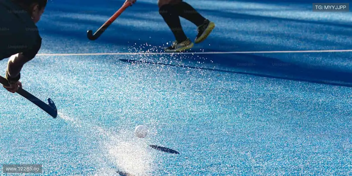 秘密导航，开启无限可能！🔍✨